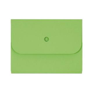 elco ELCO Organisationsmappe Ordo A4 29494.62 grün 25 Stück  