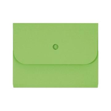 ELCO Organisationsmappe Ordo A4 29494.62 grün 25 Stück