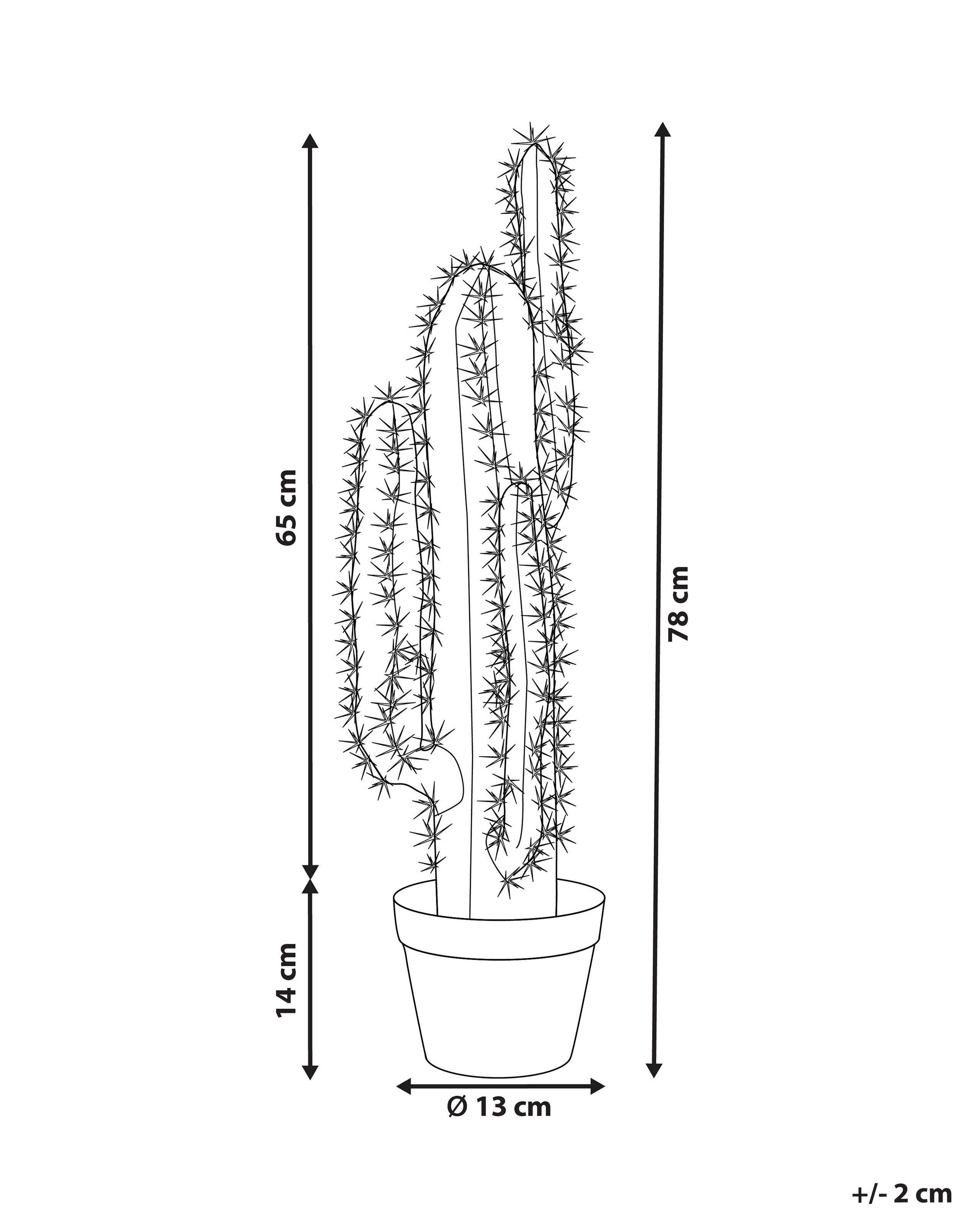 Beliani Kunstpflanze aus Kunststoff Modern CACTUS  