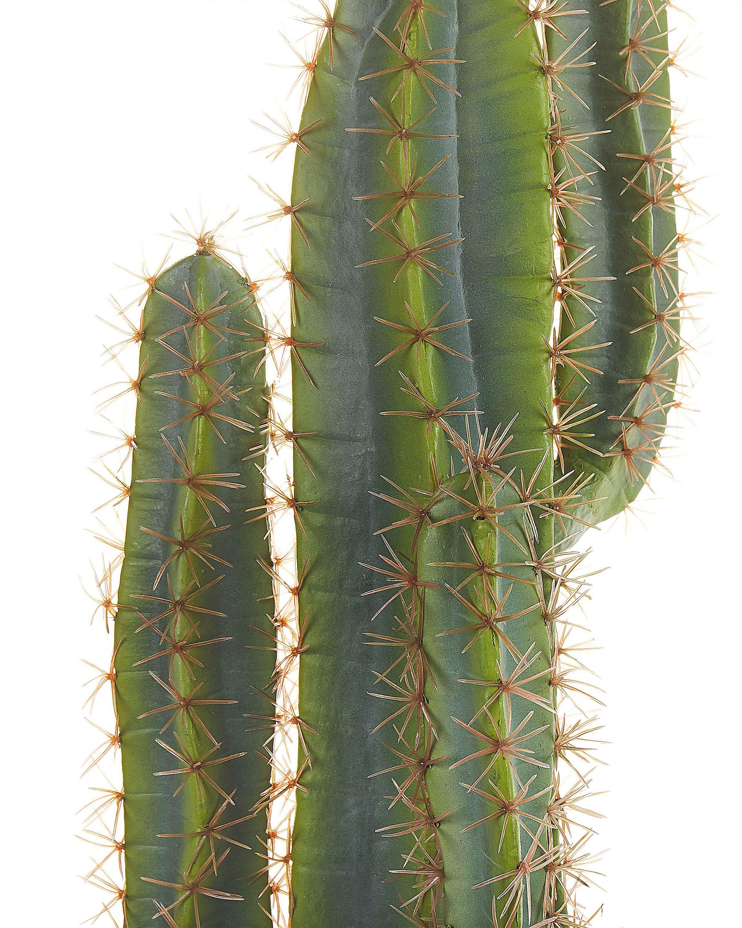 Beliani Pianta artificiale en Materiale sintetico CACTUS  