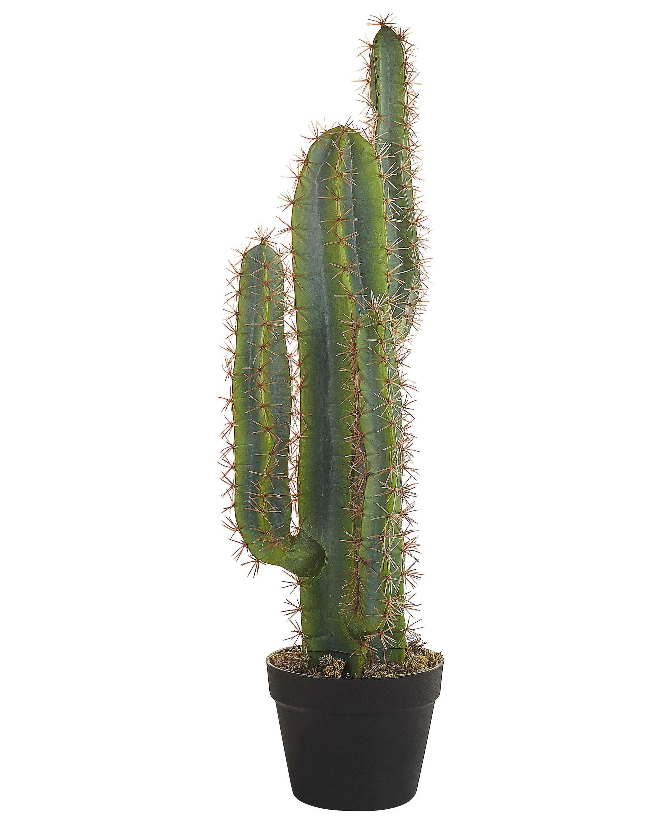 Beliani Kunstpflanze aus Kunststoff Modern CACTUS  