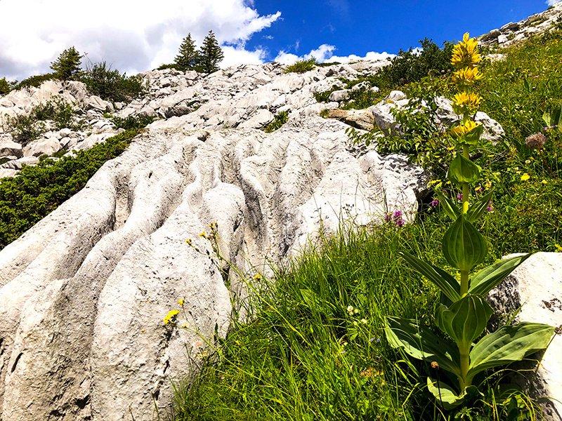 Smartbox  Abenteuer Geologie: Familienwanderung nahe des Mont Blanc - Geschenkbox 