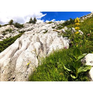 Smartbox  Avventura geologica: escursione in famiglia vicino al Monte Bianco - Cofanetto regalo 