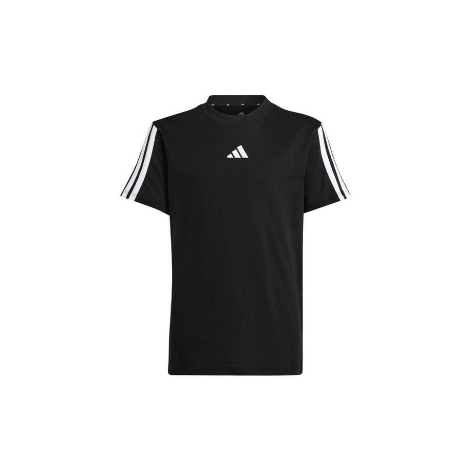 Tshirt Essentials