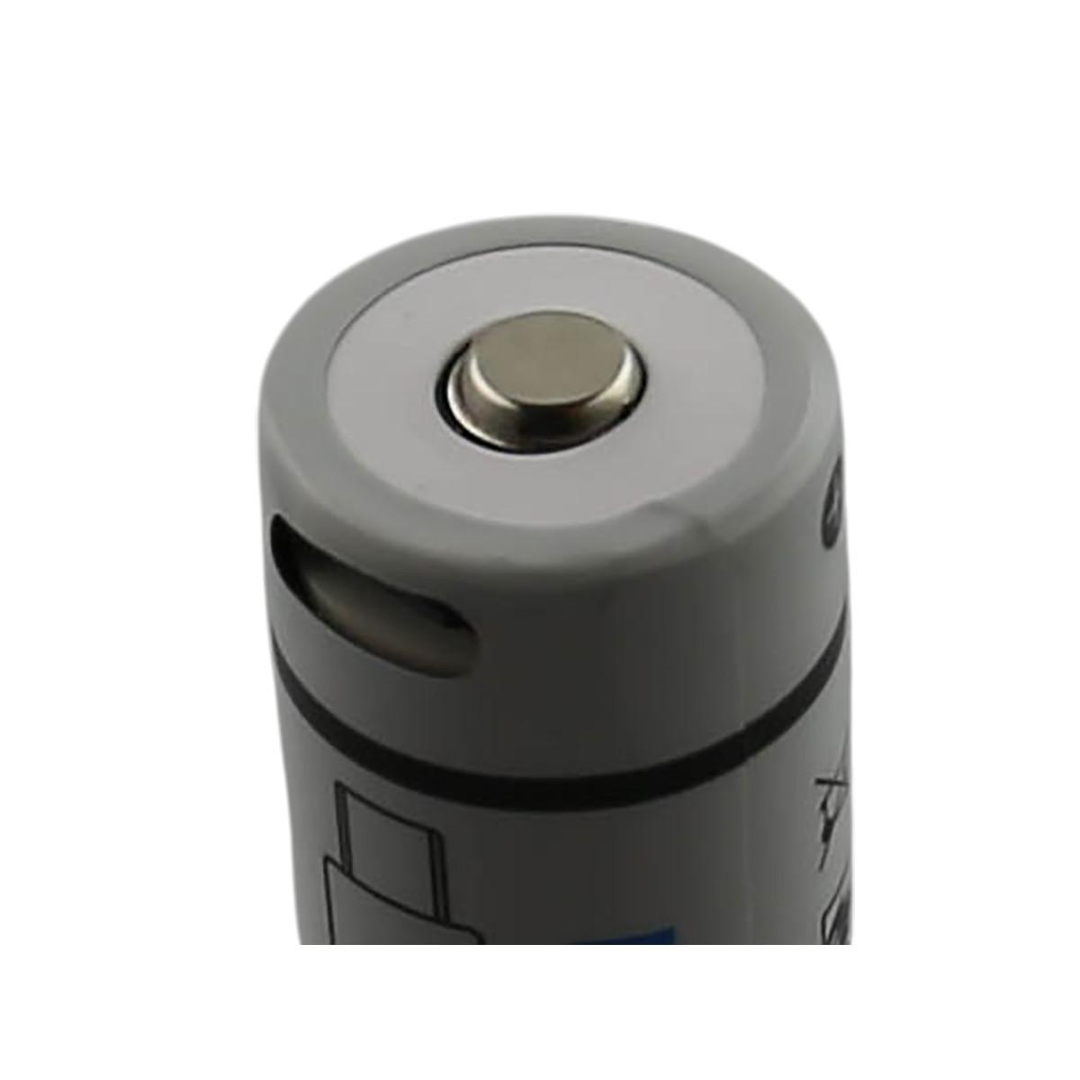 Avizar  18650 Batteria agli ioni di litio compatibile da 3,7V 2200mAh con porta ricaricabile USB-C 