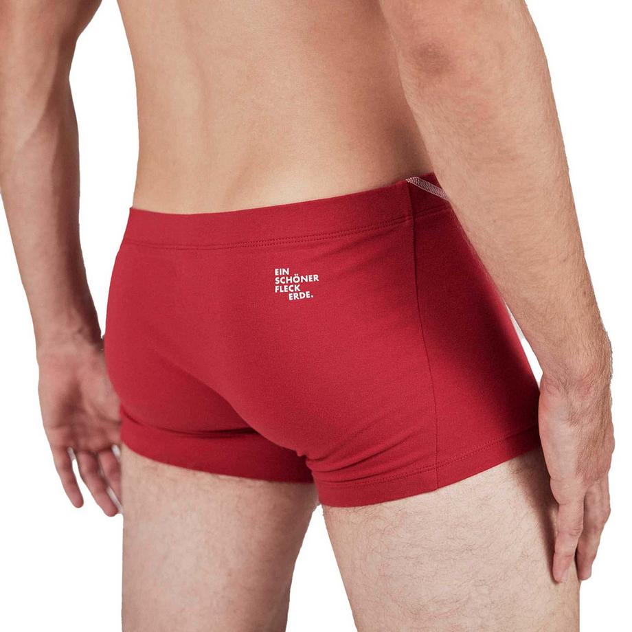 EIN SCHÖNER FLECK ERDE  Boxer  Pack de 1 Confortable à porter 