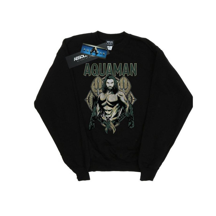 DC COMICS Aquaman Felpa Girocollo  