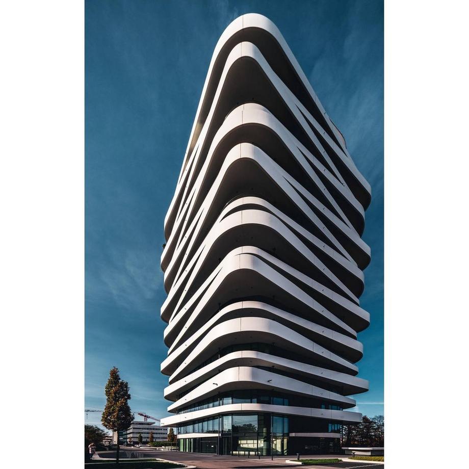 Venus Optic  VENUS OPTIC 