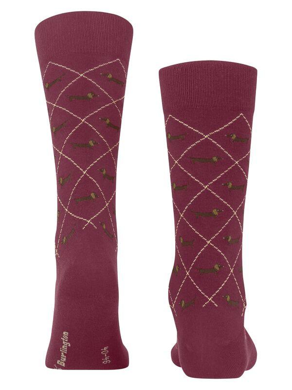 Burlington  Chaussettes Teckel chien 