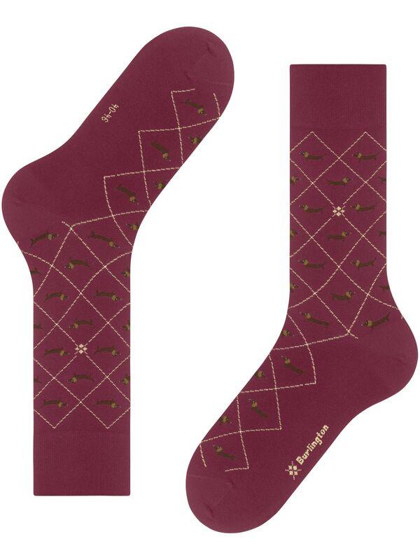 Burlington  Chaussettes Teckel chien 