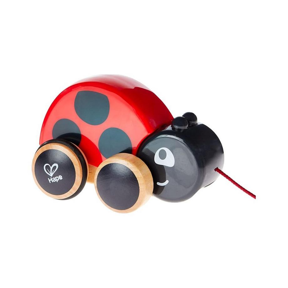 Kleinkind Nachziehkäfer Marie