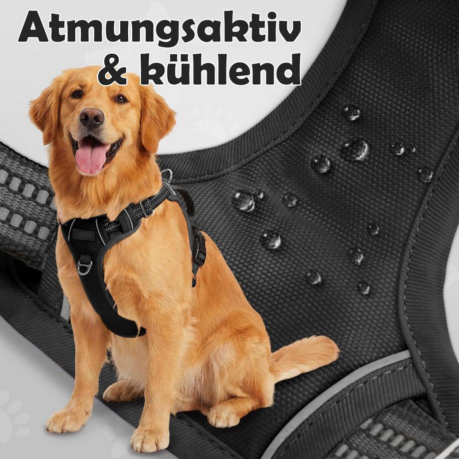 Alopini  Harnais pour Chien pour Chiens de Taille Moyenne, Harnais de Poitrine Anti-Traction 