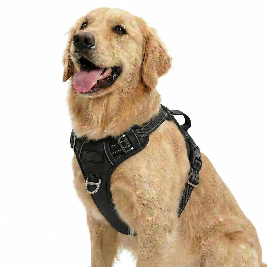 Hundegeschirr für mittelgroße Hunde, Anti-Zug-Brustgeschirr