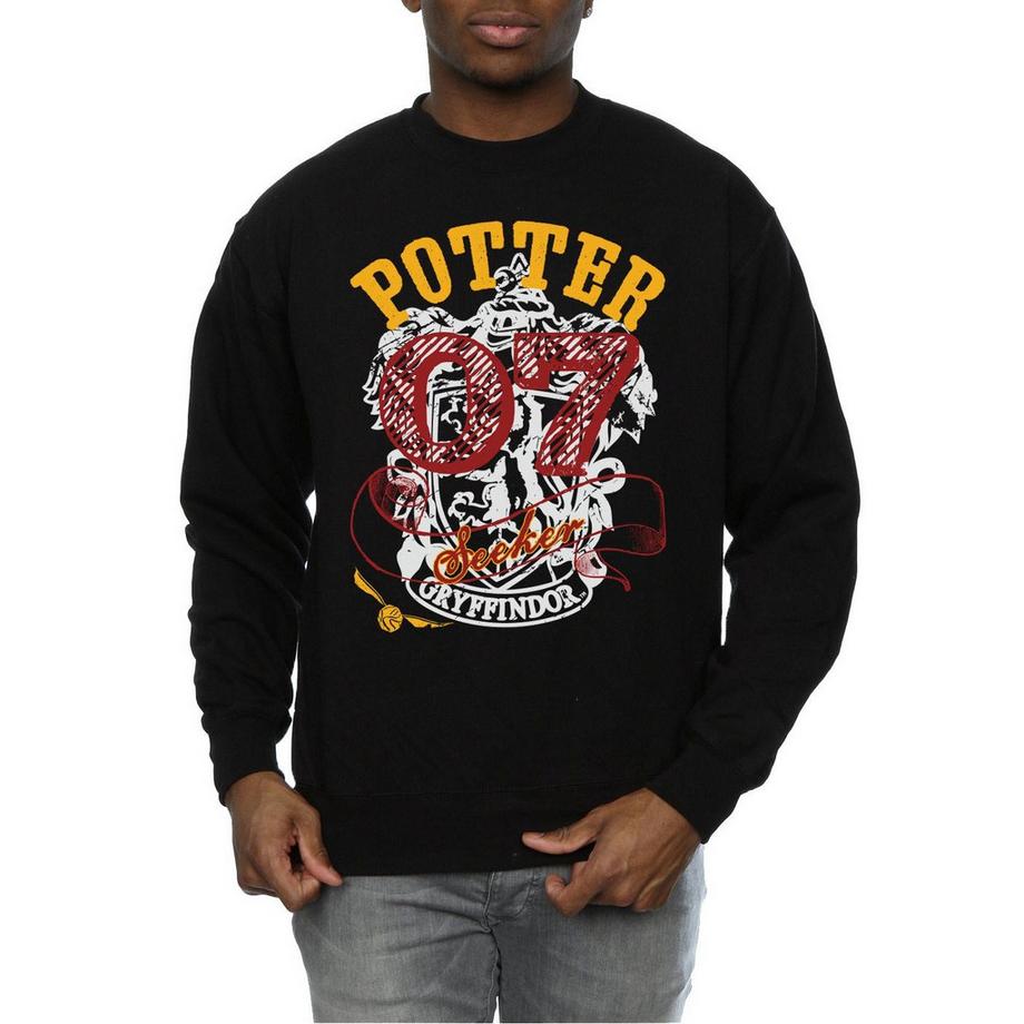 Harry Potter Gryffindor Seeker Felpa  