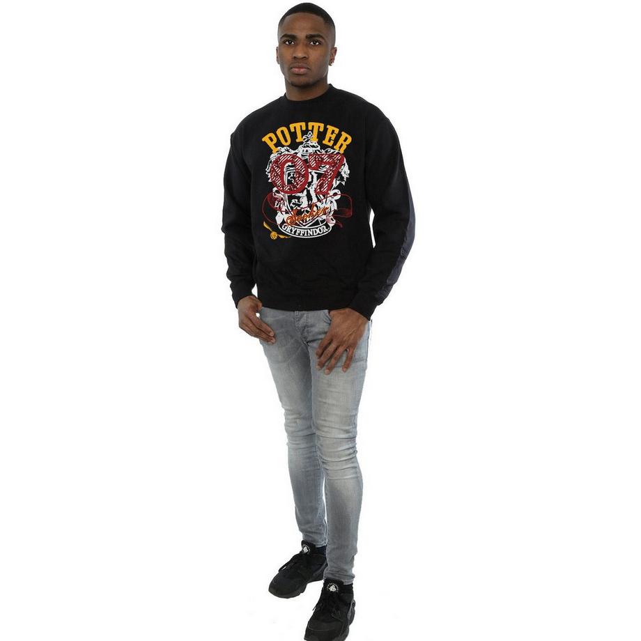 Harry Potter Gryffindor Seeker Felpa  