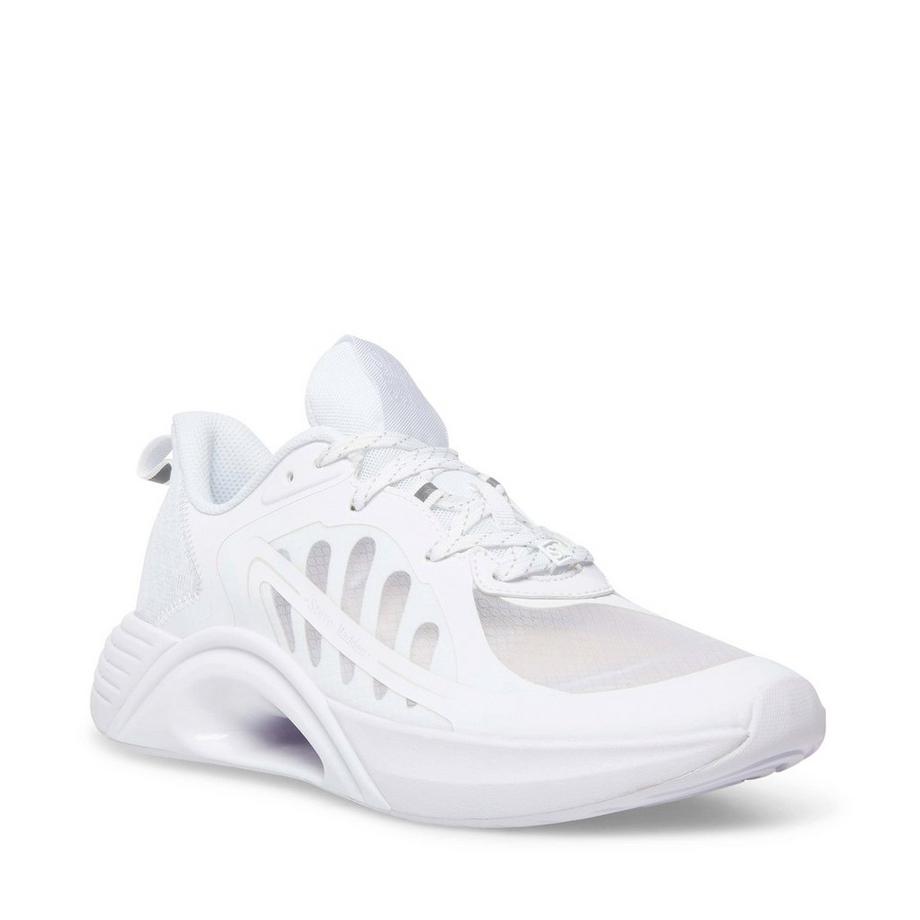 STEVE MADDEN Nikolas Sneakers basse  