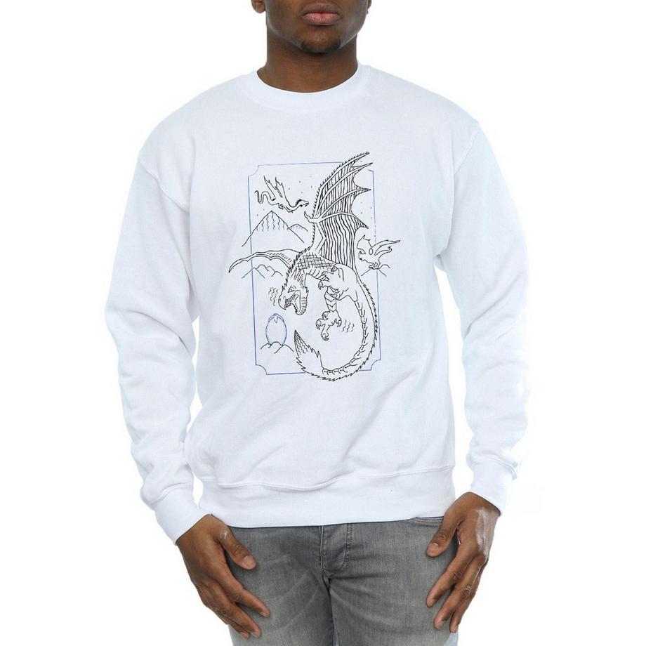 Harry Potter Drago Felpa  