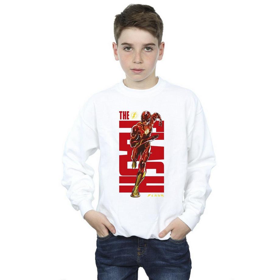 DC COMICS  Sweatshirt 