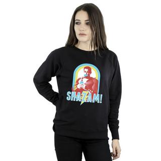 DC COMICS  Sweatshirt 