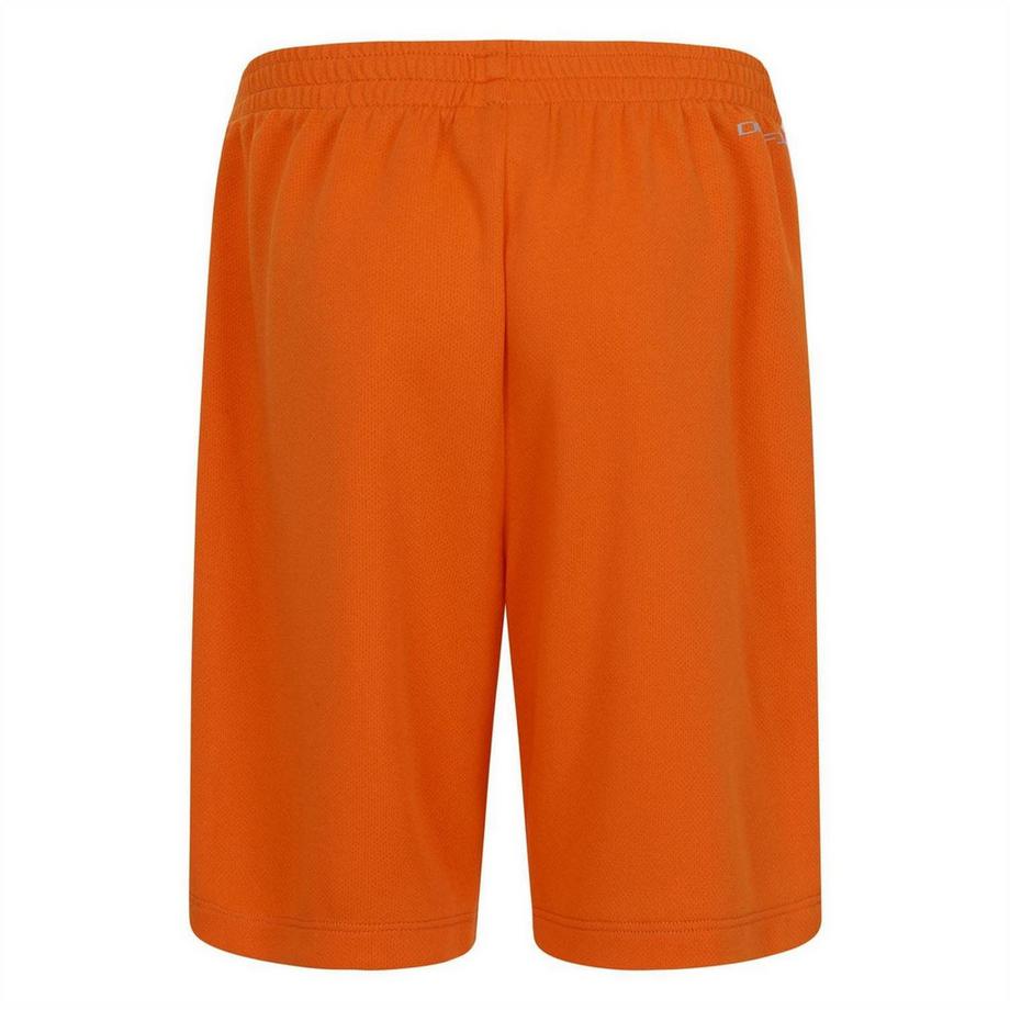 NIKE  Hbr Shorts 