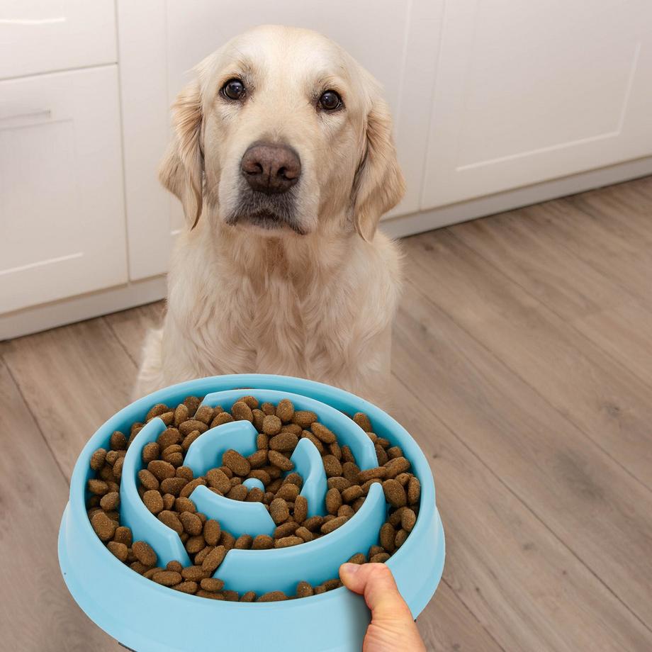 B2X  Anti-Schleuder-Schüssel 400 ml 