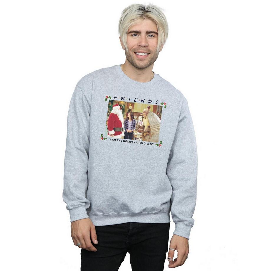 Friends The Holiday Armadillo Sweatshirt  