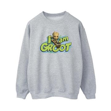 Guardians Of The Galaxy I Am Groot Sweatshirt