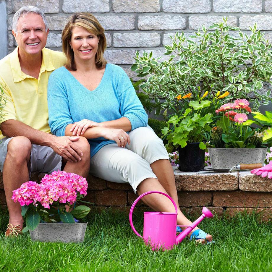 B2X Zinkwanne oval 6er Set  