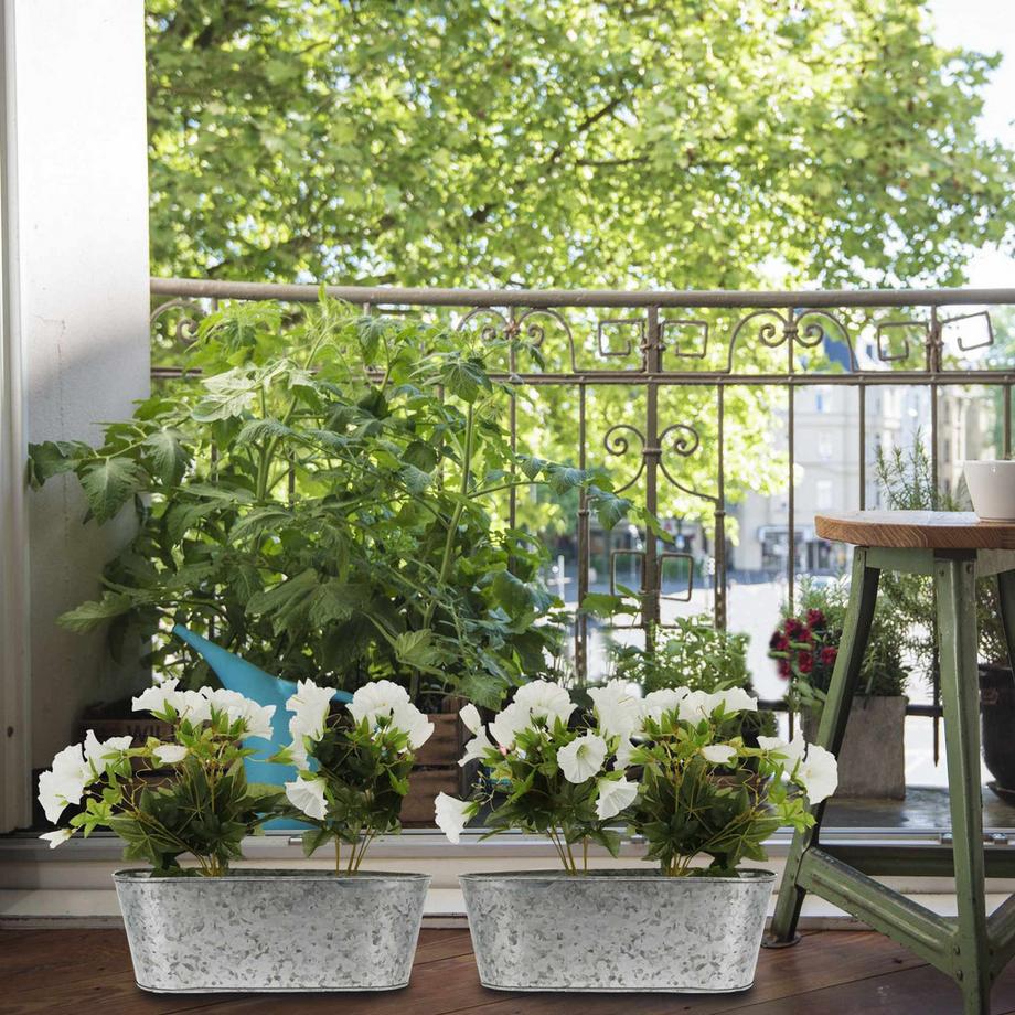 B2X Zinkwanne oval 6er Set  