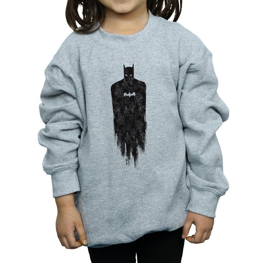 DC COMICS  Sweatshirt 