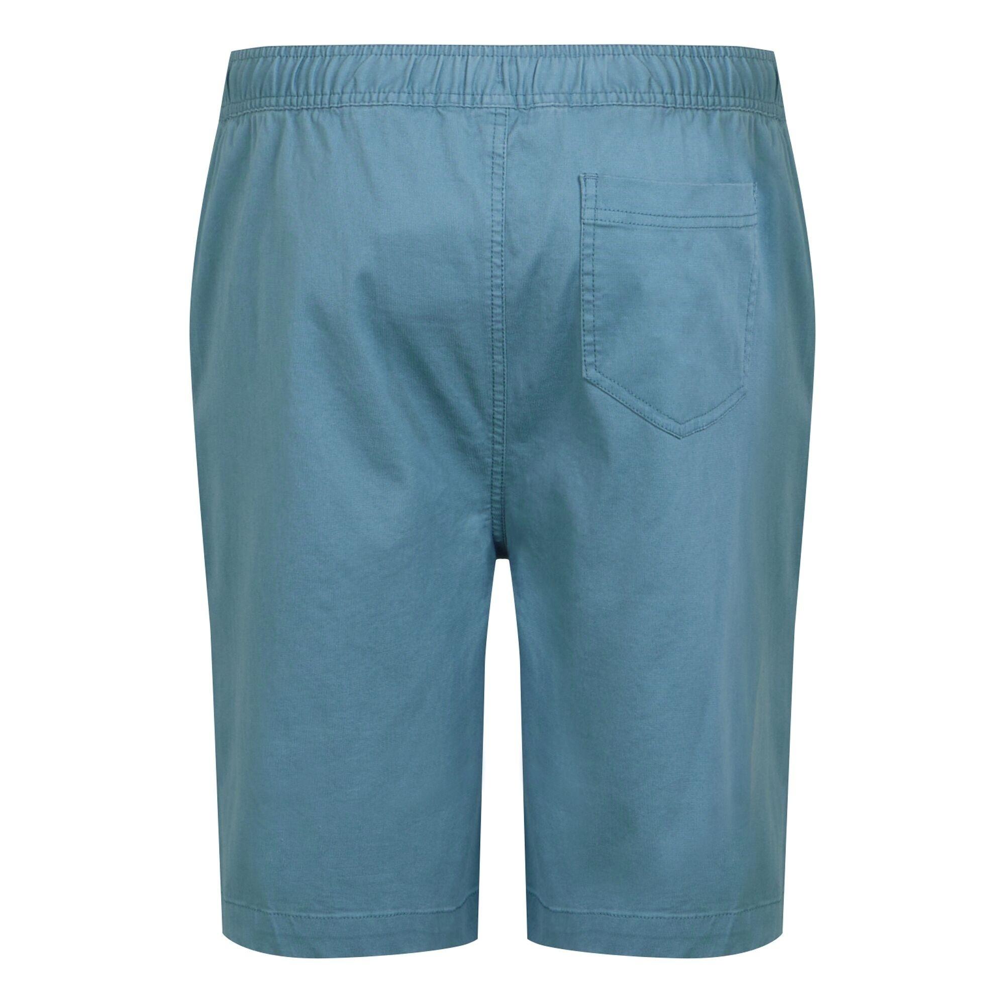 Regatta Short Aldan  