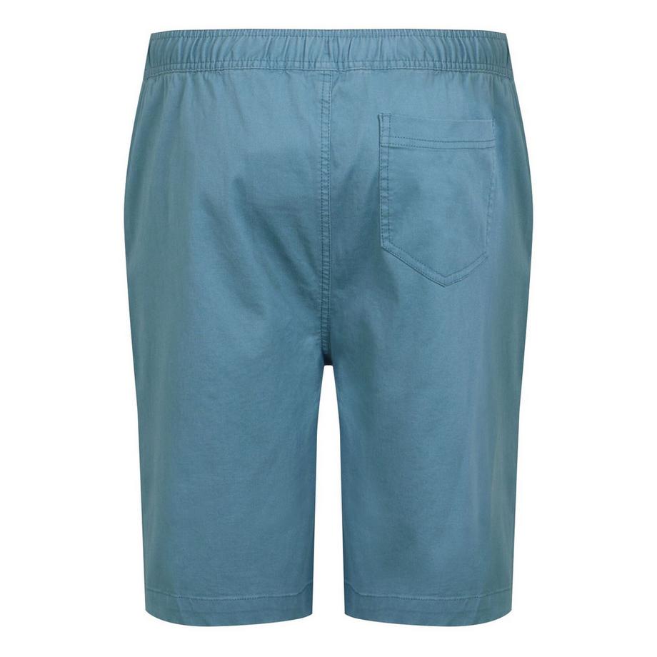 Regatta Short Aldan  