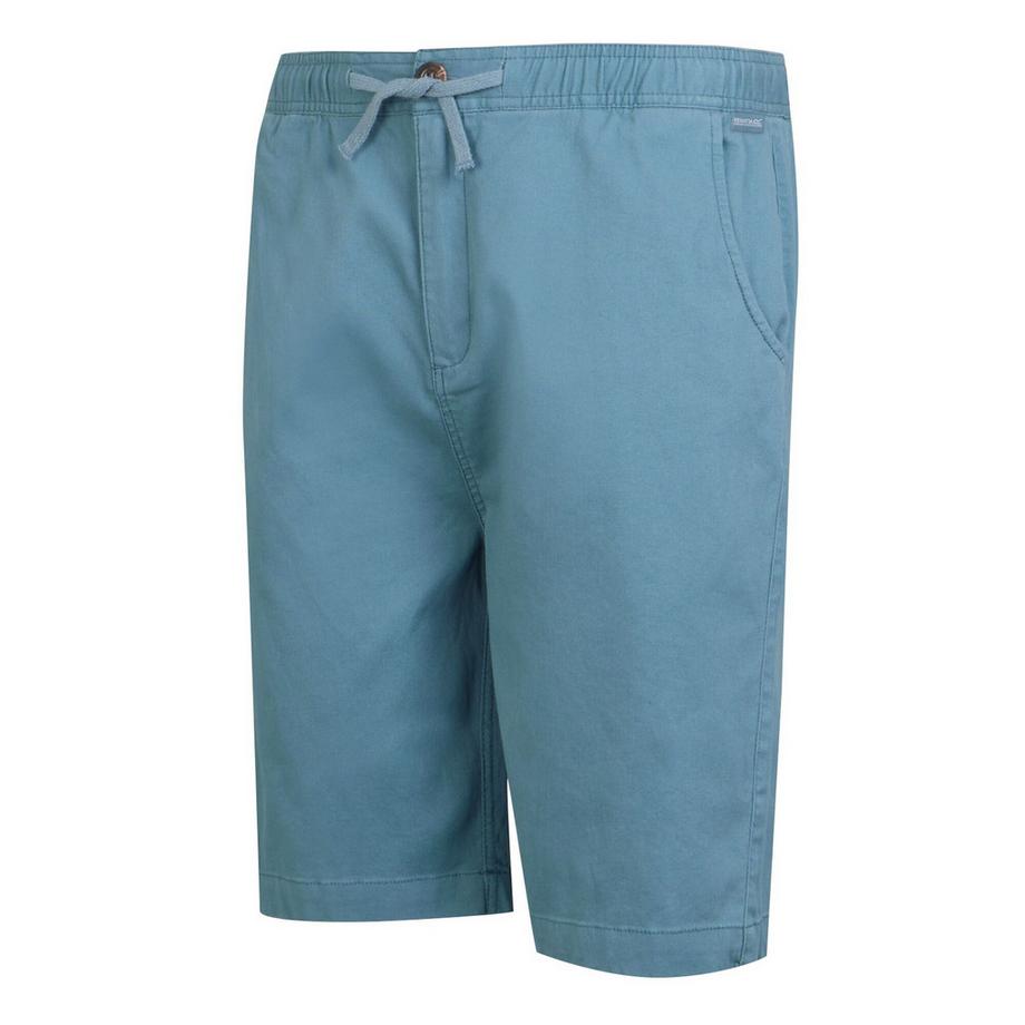 Regatta Short Aldan  