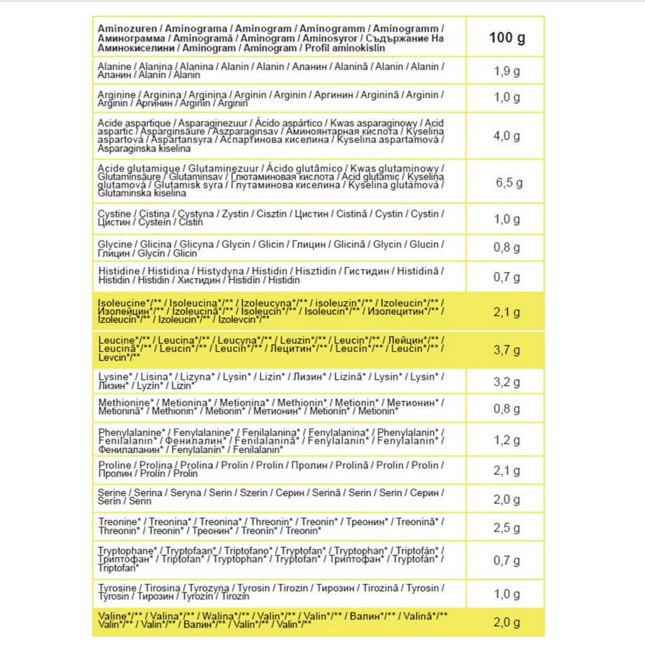 DOMYOS  Gainer - MUSCLE GAINER 