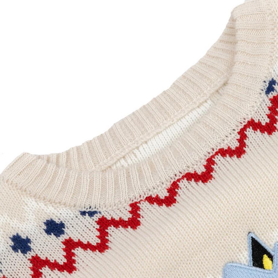 Bluey Pull Noël Motif Personnage  