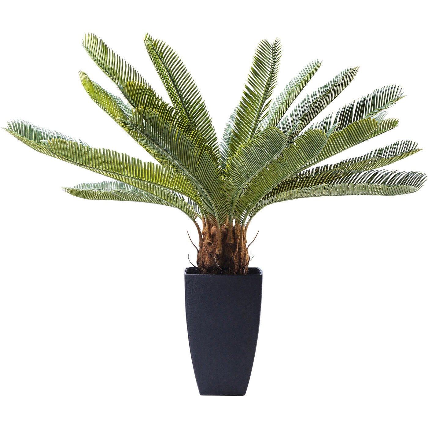 KARE Design Pianta decorativa Cycas Tree 78cm  