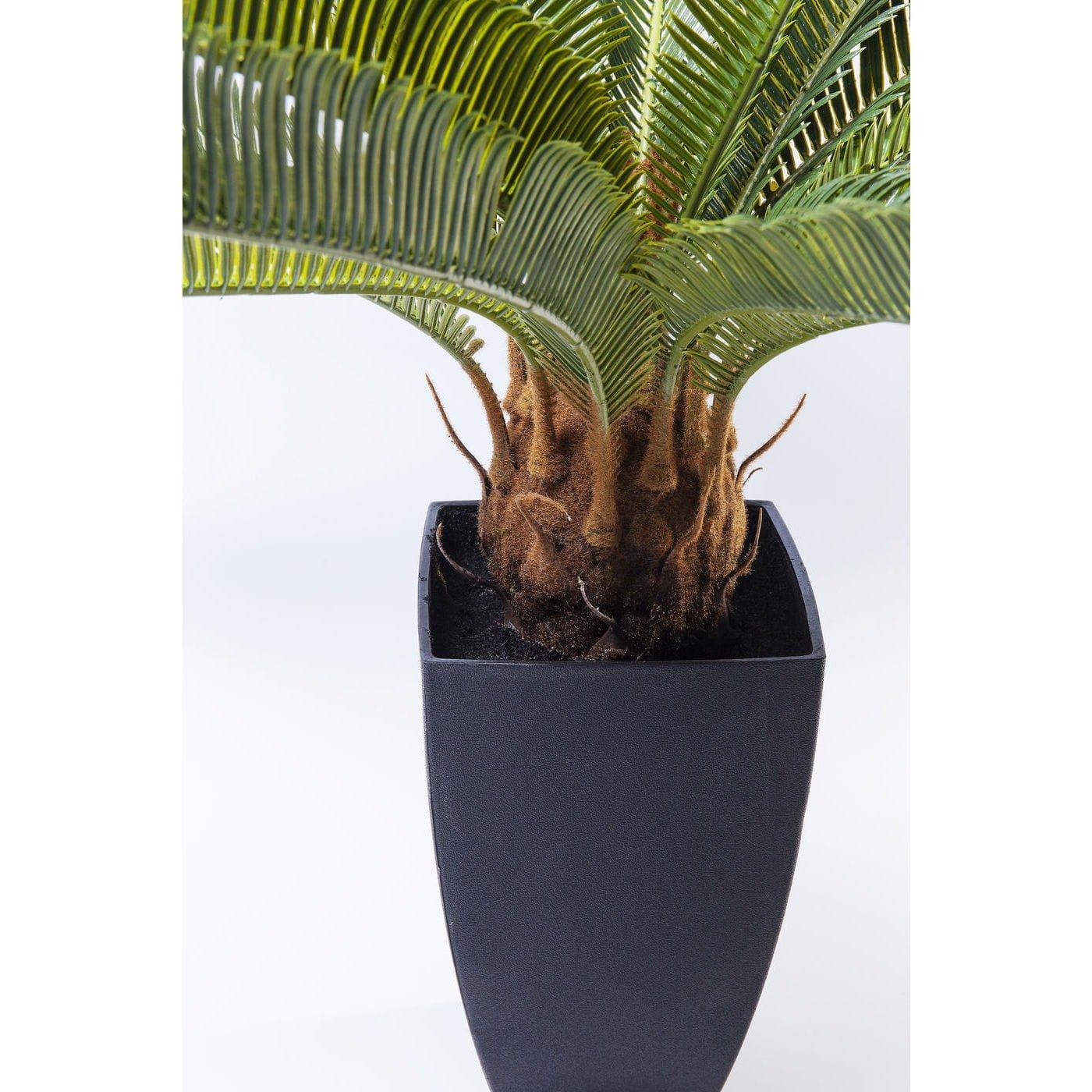 KARE Design Plante décorative Cycas Tree 78cm  
