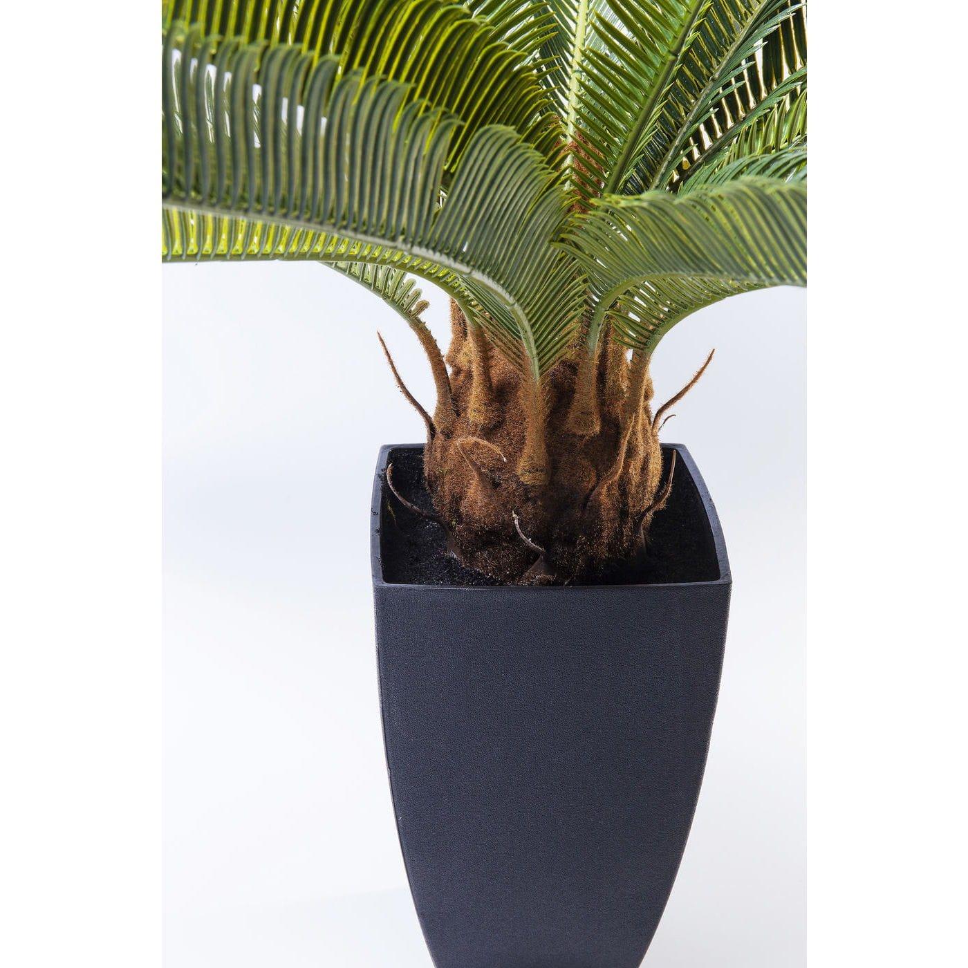 KARE Design Plante décorative Arbre Cycas 78cm  