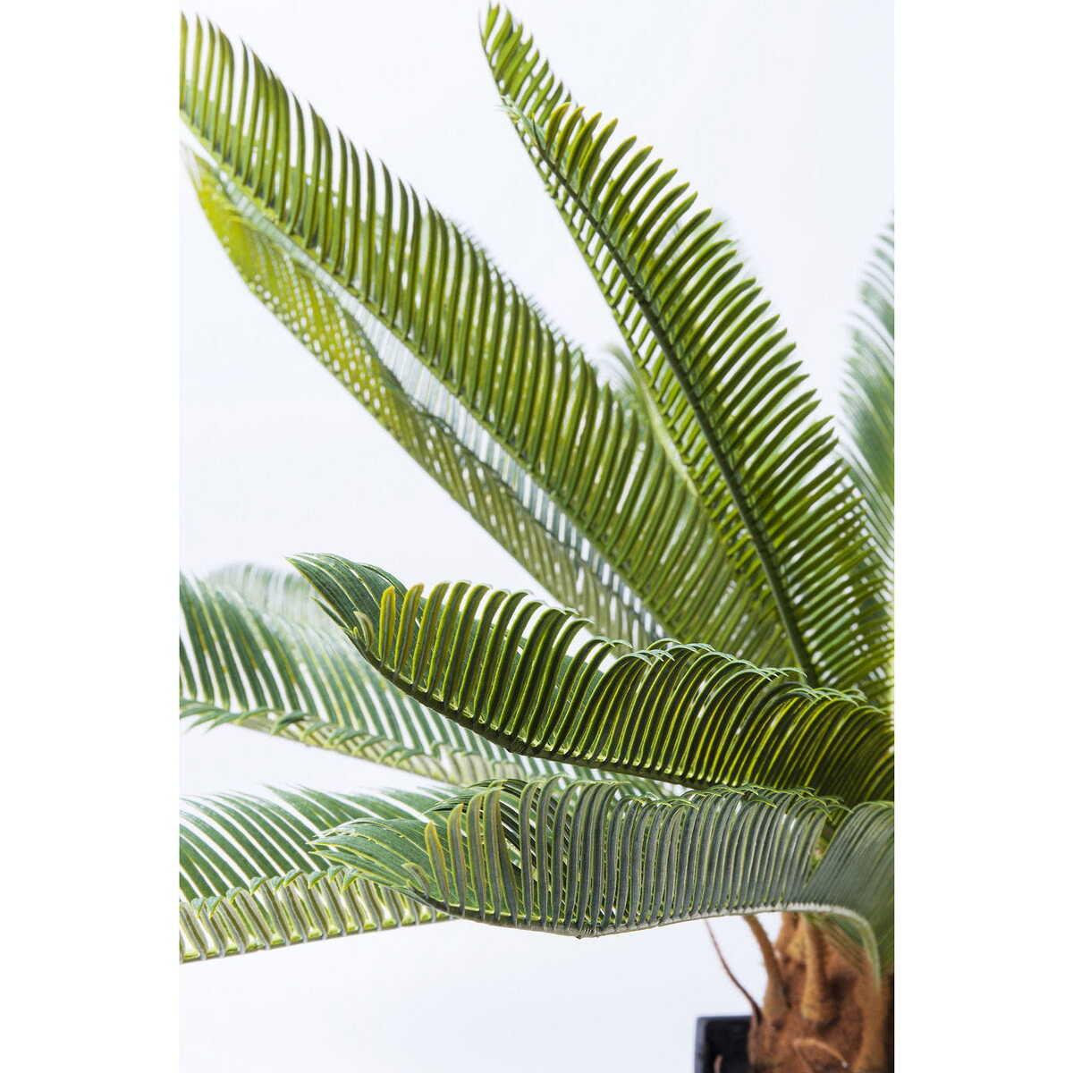 KARE Design Pianta decorativa Cycas Tree 78cm  