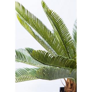 KARE Design Plante décorative Cycas Tree 78cm  
