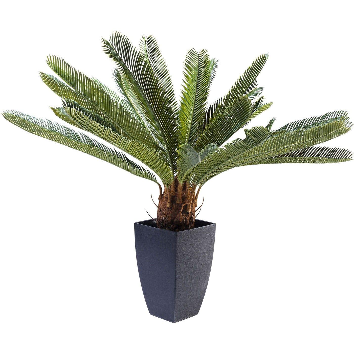 KARE Design Plante décorative Arbre Cycas 78cm  