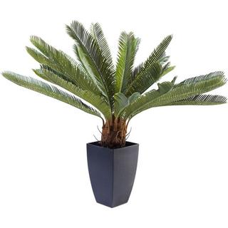 KARE Design Pianta decorativa Cycas Tree 78cm  