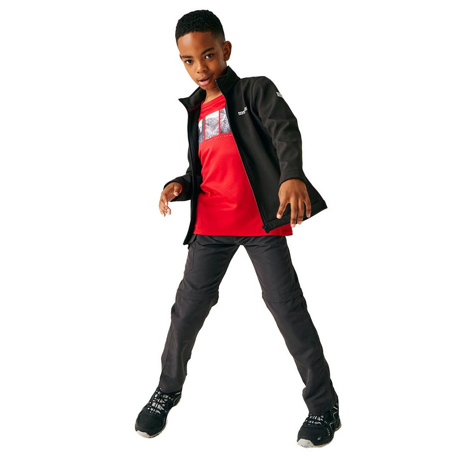 Regatta Cera Softshelljacke  