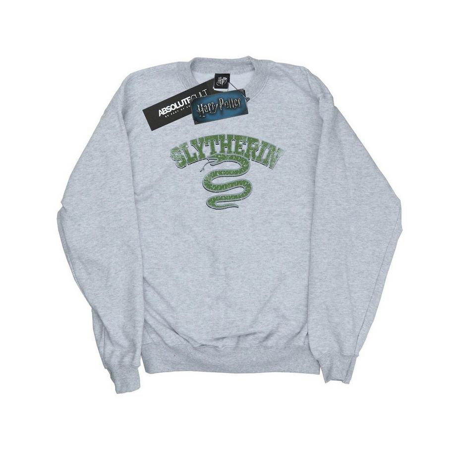 Harry Potter Slytherin Sweatshirt Imprimé Graphique  