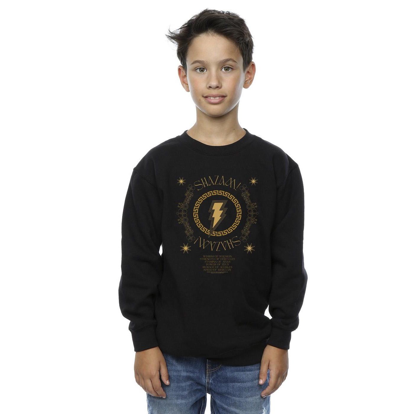 DC COMICS  Fury Of The Gods Sweatshirt 