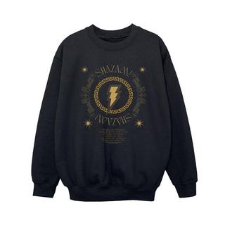 DC COMICS  Fury Of The Gods Sweatshirt 