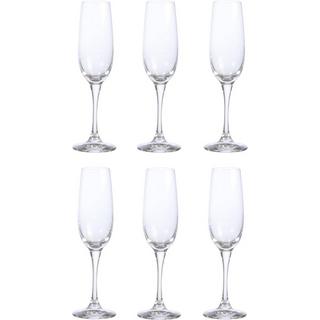 Spiegelau Champagnerglas Soirée 6tlg 6er Set, D: 5.4cm  H: 22.6cm  