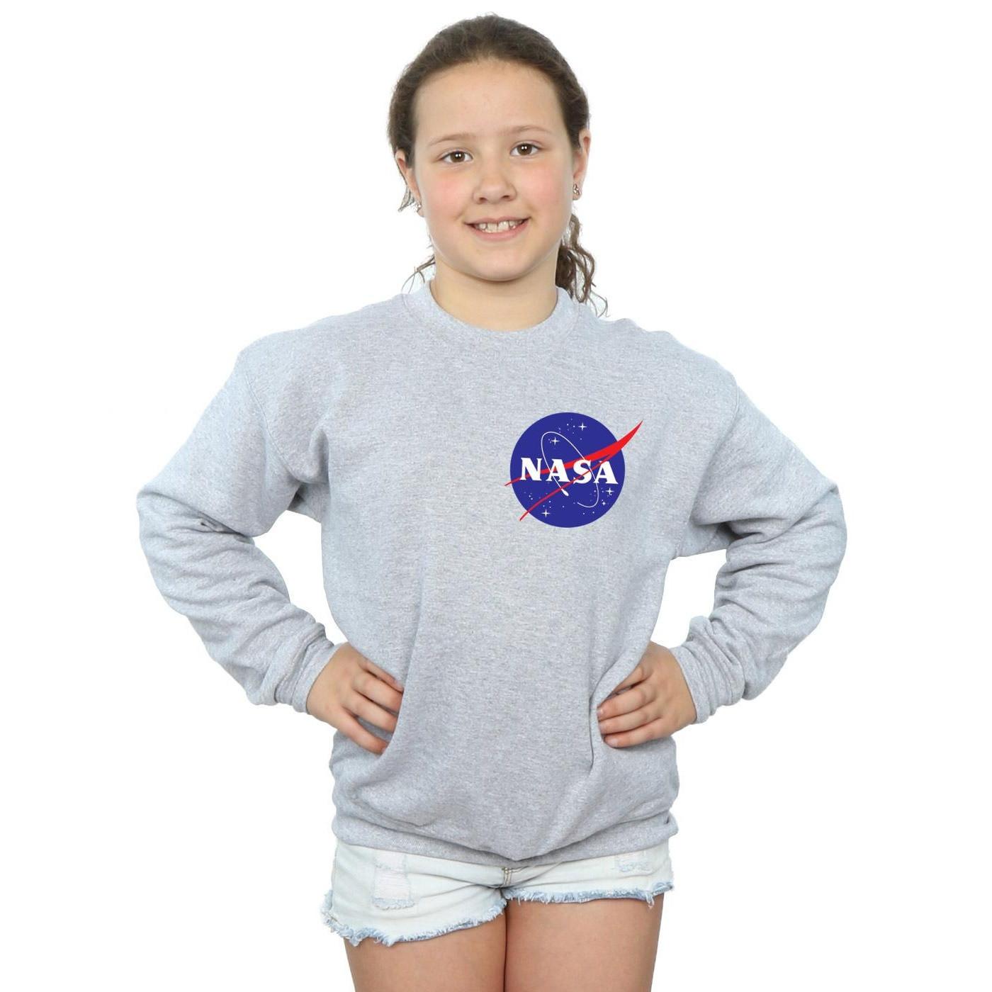 Nasa  Classic Insignia Chest Logo Sweatshirt 