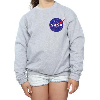 Nasa  Classic Insignia Chest Logo Sweatshirt 