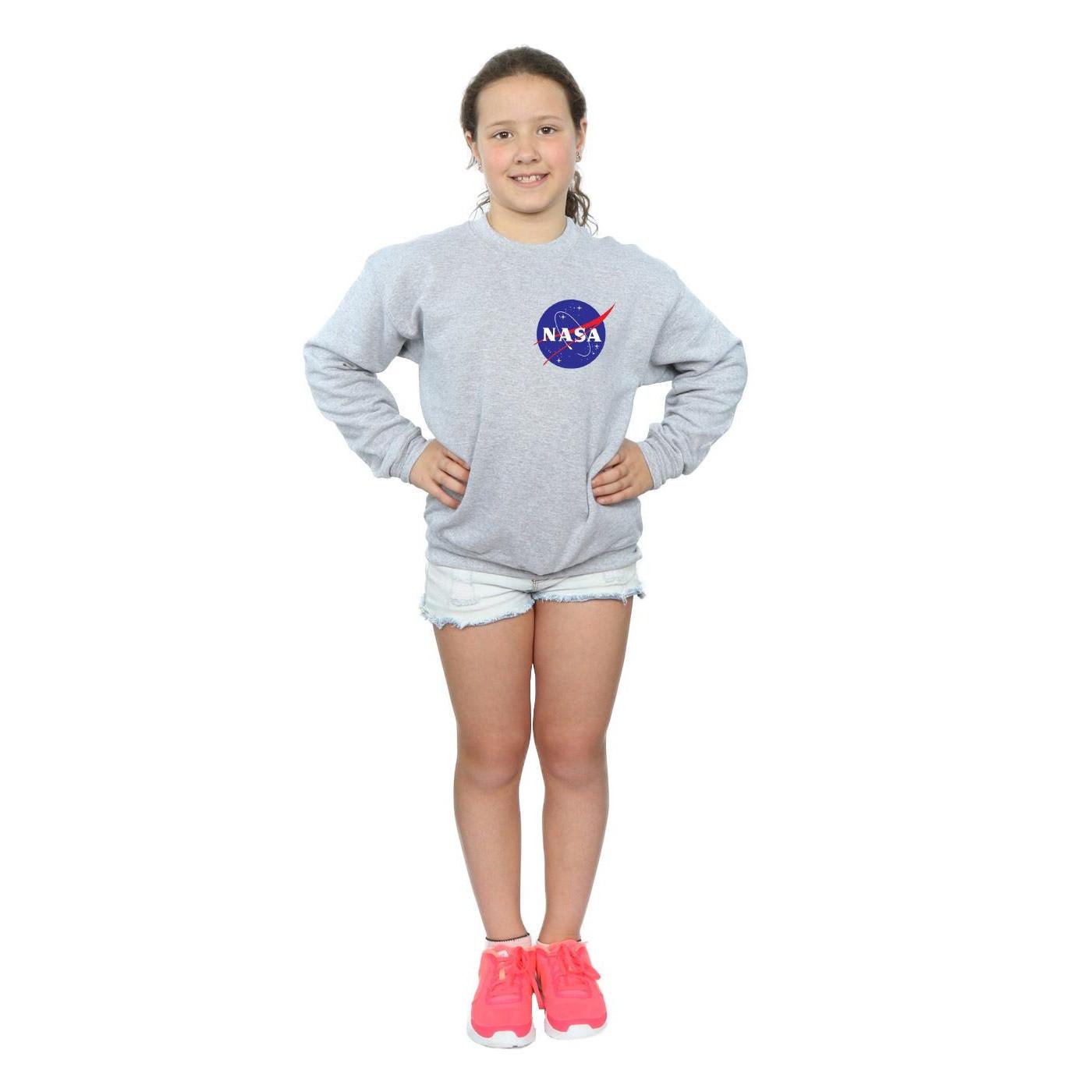 Nasa  Classic Insignia Chest Logo Sweatshirt 